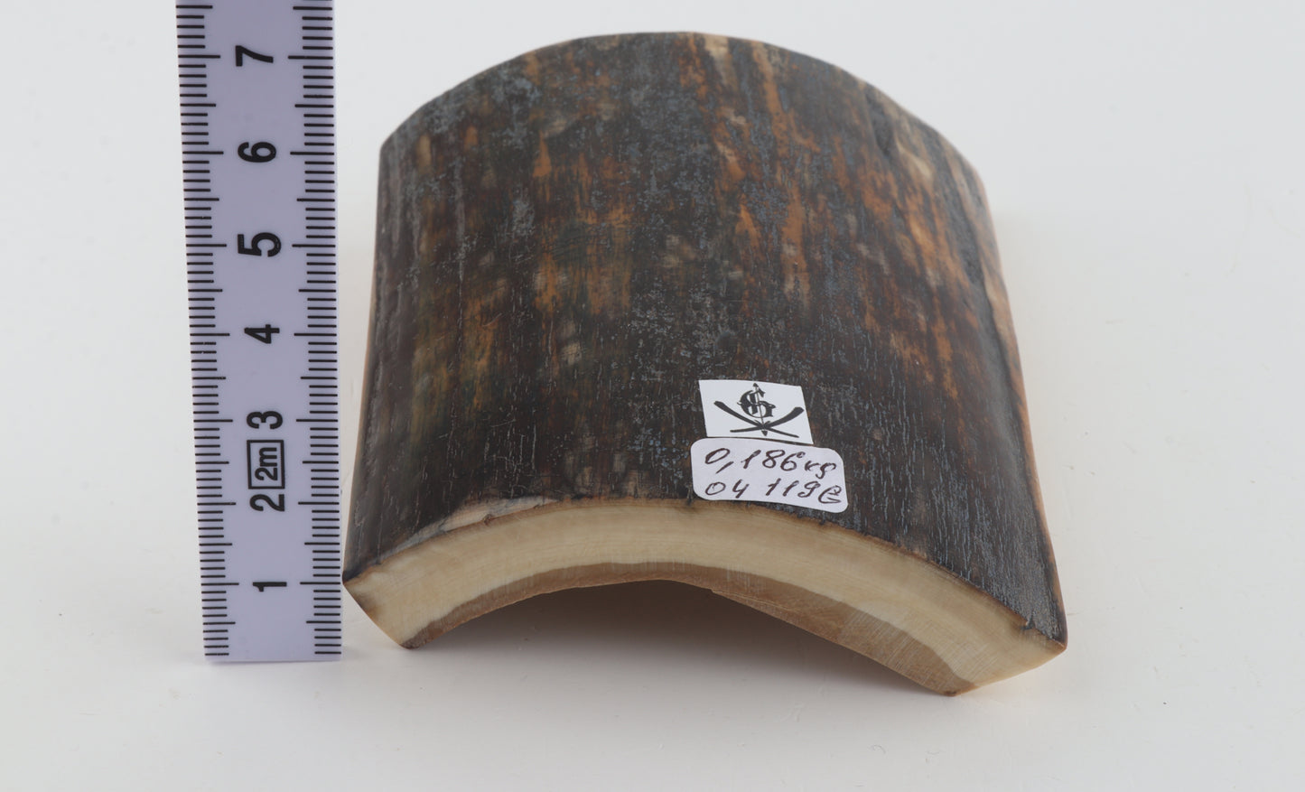 Brown-blue mammoth bark