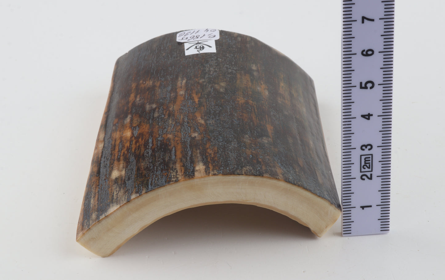 Brown-blue mammoth bark