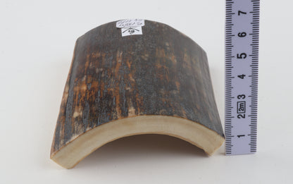 Brown-blue mammoth bark