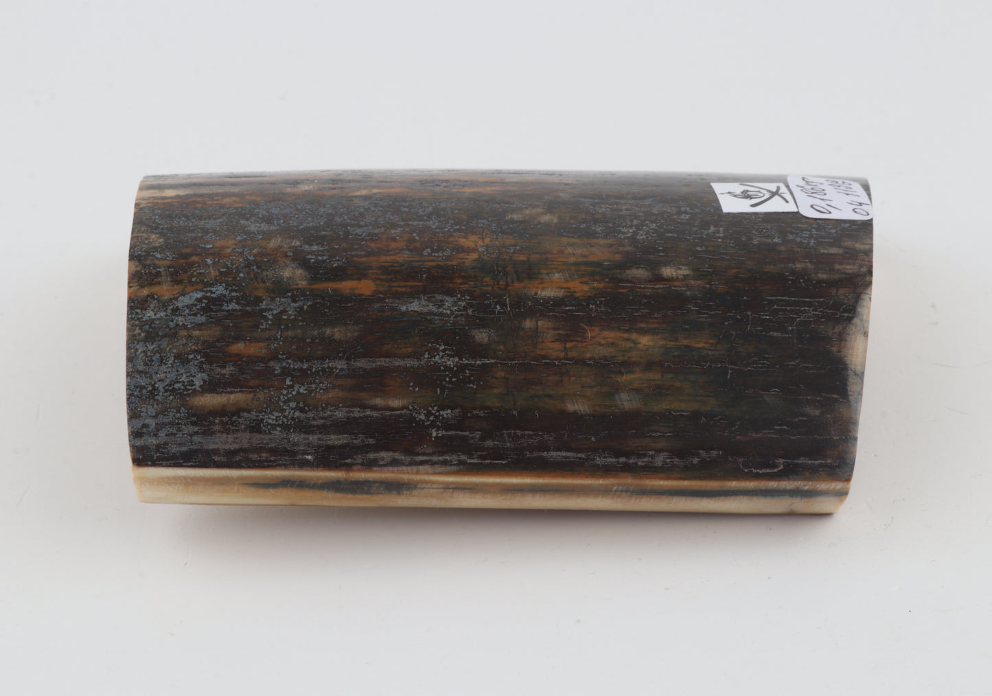 Brown-blue mammoth bark
