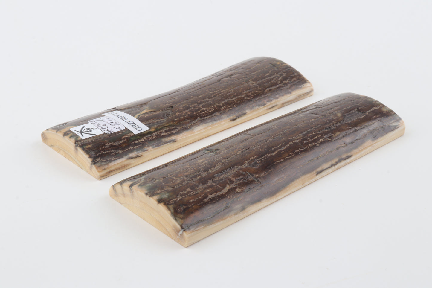 Stabilized mammoth bark scales