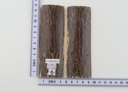Stabilized mammoth bark scales