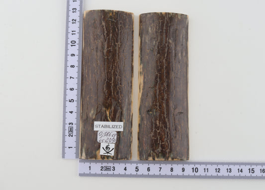 Stabilized mammoth bark scales