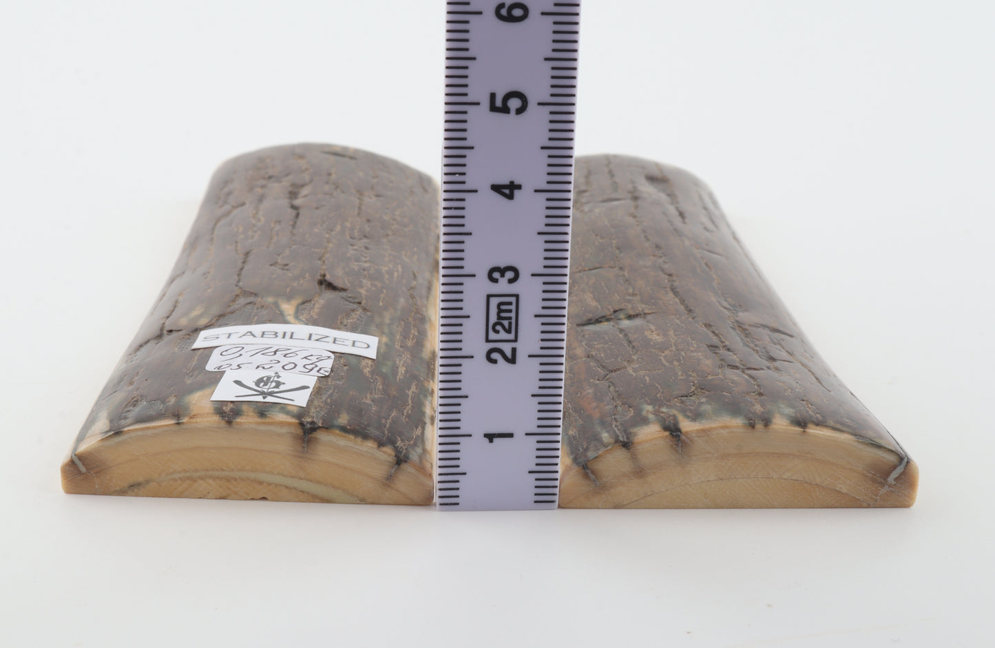 Stabilized mammoth bark scales