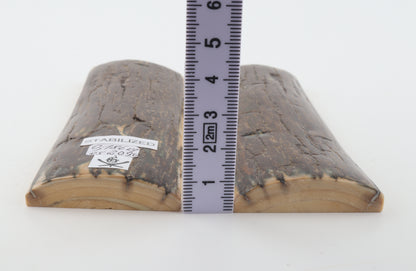 Stabilized mammoth bark scales