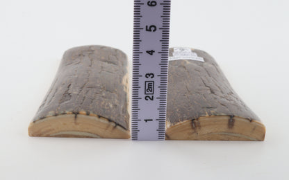 Stabilized mammoth bark scales