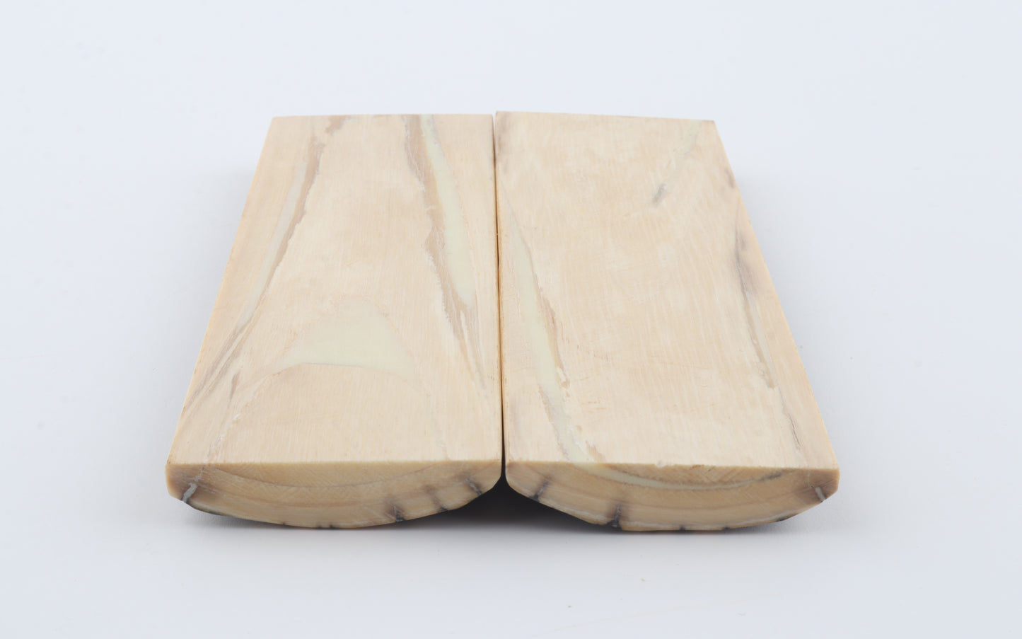 Stabilized mammoth bark scales