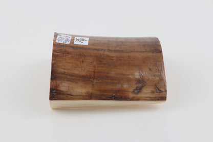 Beige-brown mammoth bark
