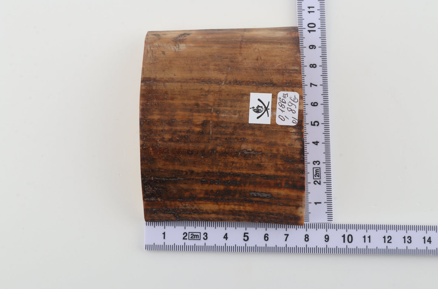 Beige-brown mammoth bark