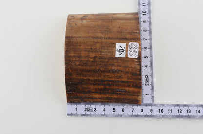 Beige-brown mammoth bark
