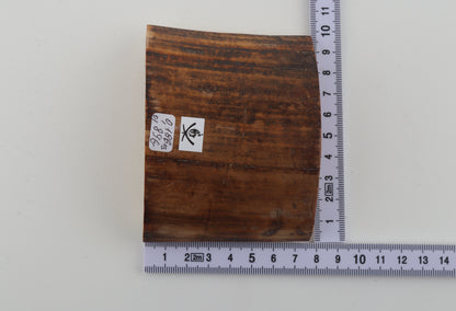 Beige-brown mammoth bark