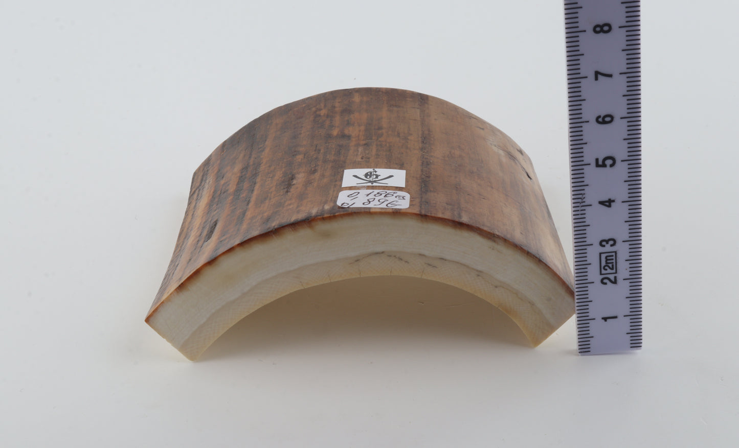 Beige-brown mammoth bark