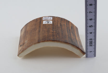 Beige-brown mammoth bark