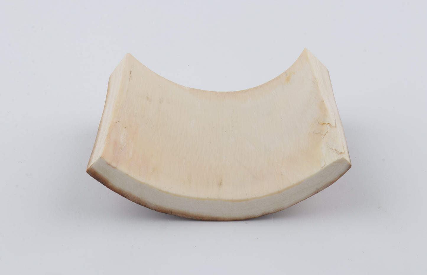 Beige-brown mammoth bark