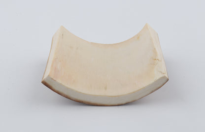Beige-brown mammoth bark