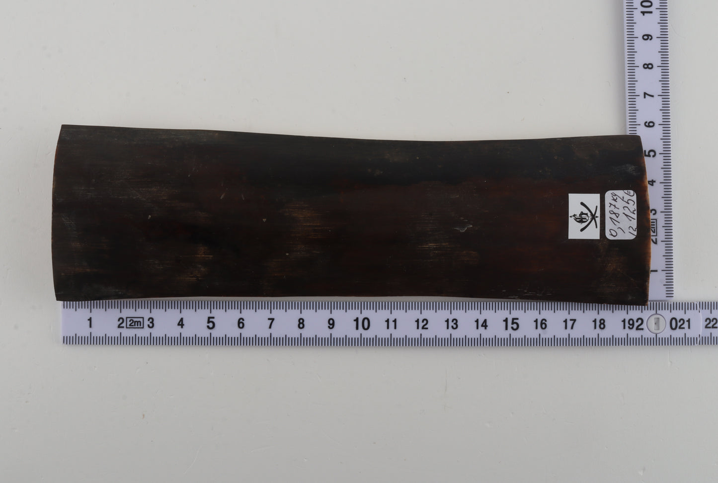 Brown woolly mammoth bark