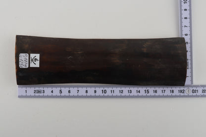 Brown woolly mammoth bark