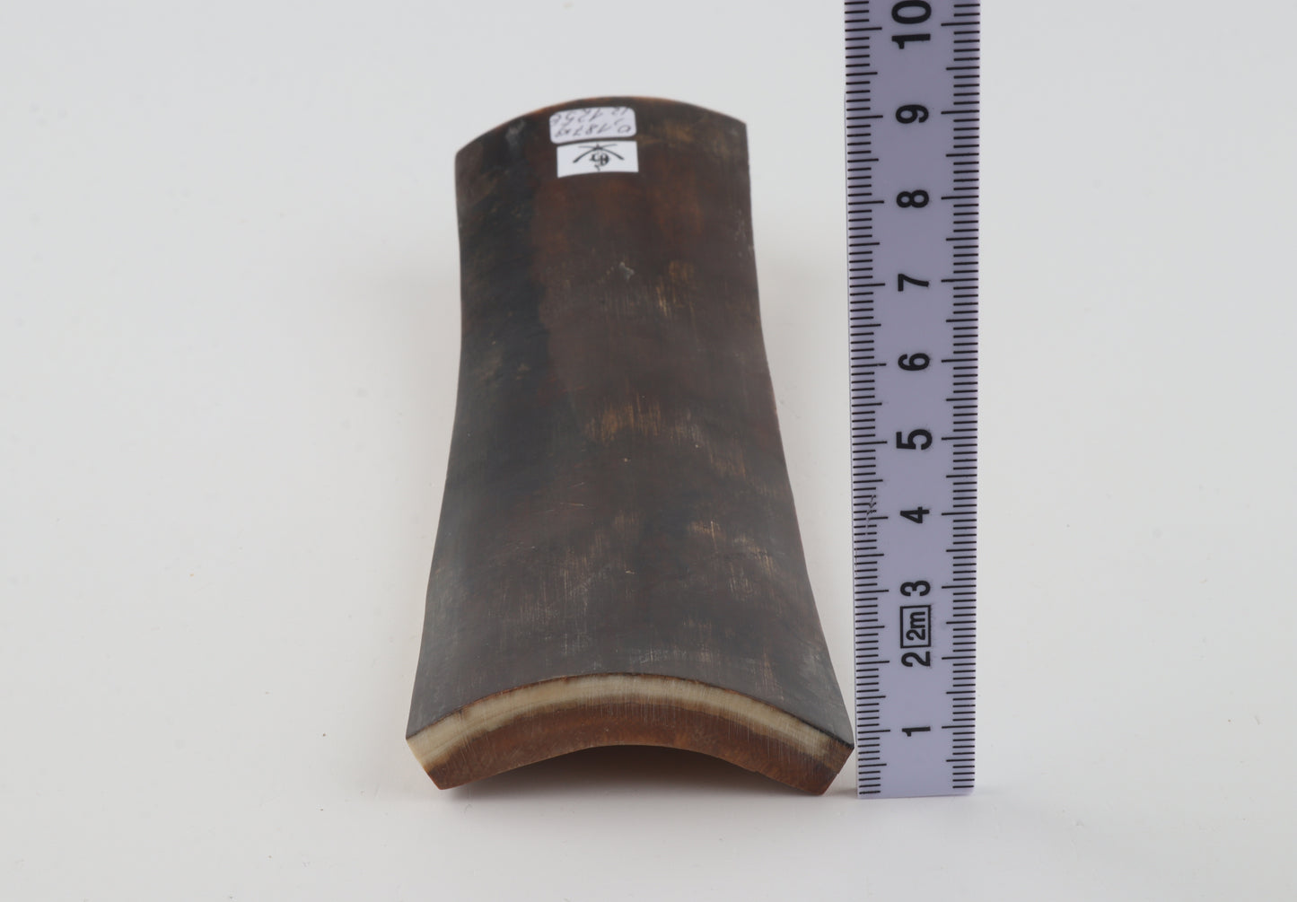 Brown woolly mammoth bark