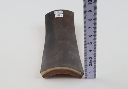 Brown woolly mammoth bark