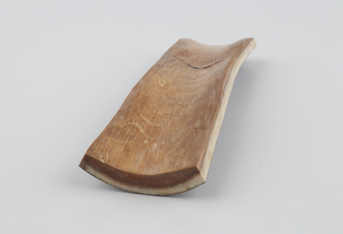 Brown woolly mammoth bark