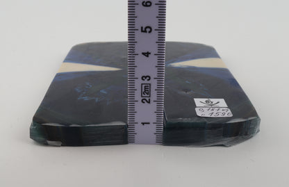 Stabilized mammoth ivory scales