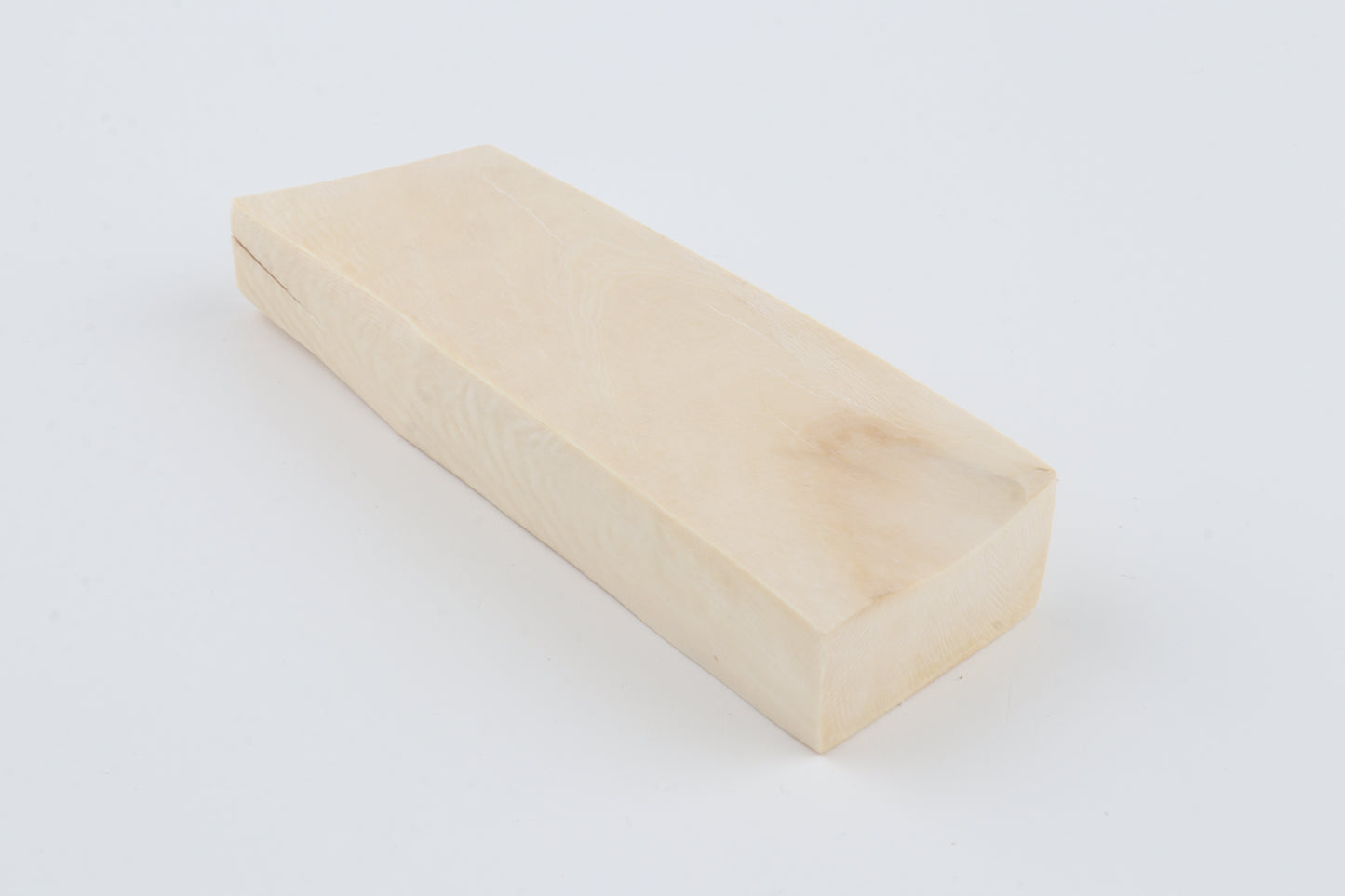 White mammoth ivory segment