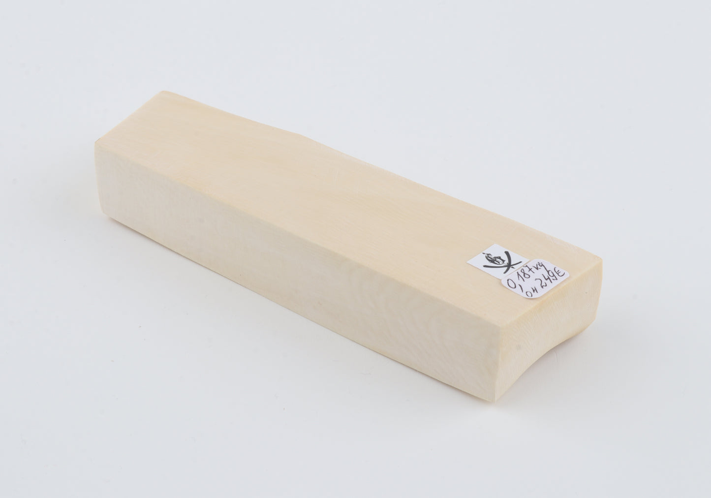 White mammoth ivory segment