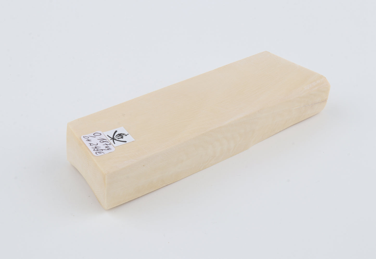 White mammoth ivory segment
