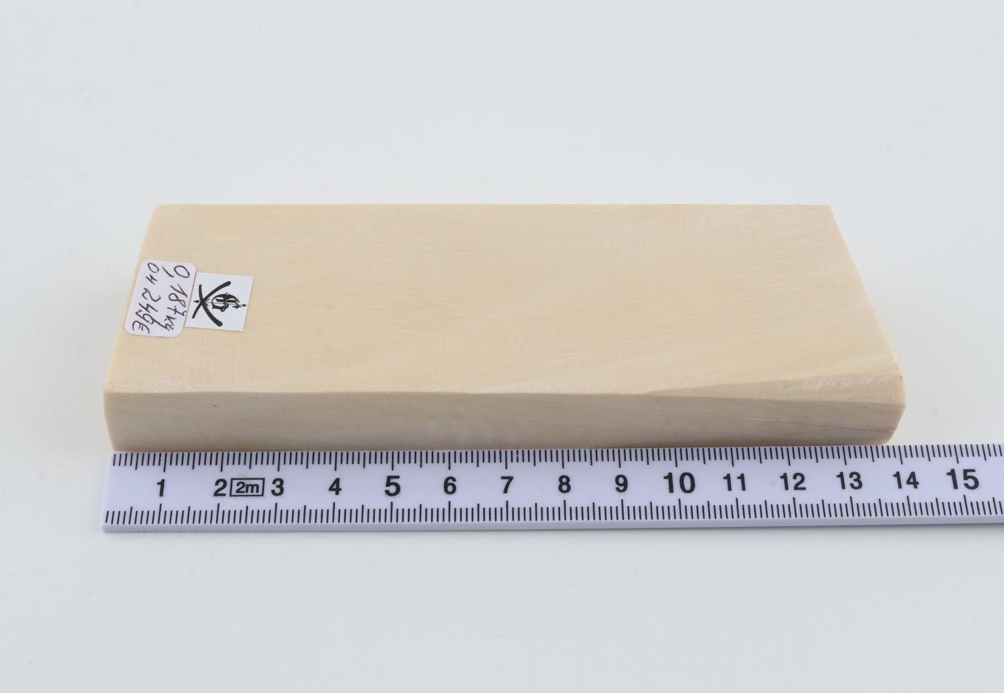 White mammoth ivory segment