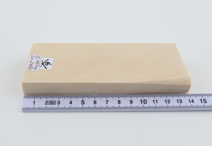 White mammoth ivory segment