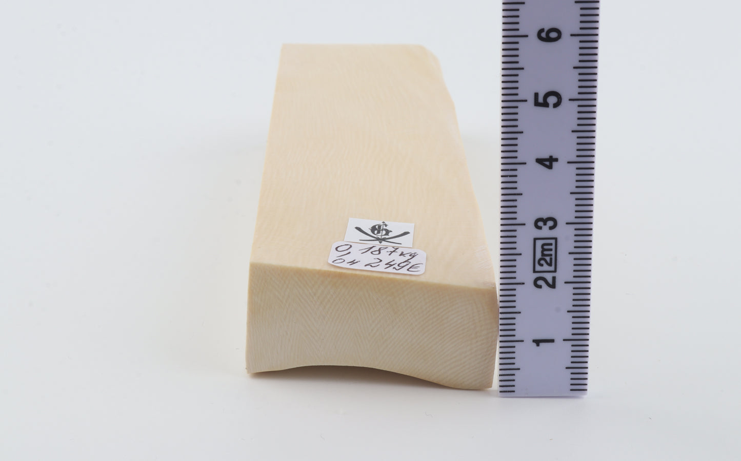 White mammoth ivory segment