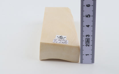 White mammoth ivory segment