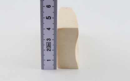 White mammoth ivory segment