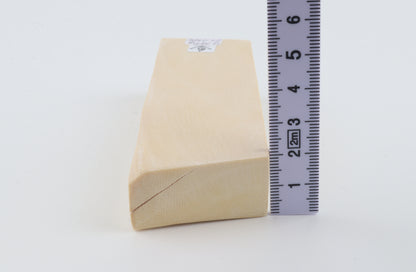 White mammoth ivory segment