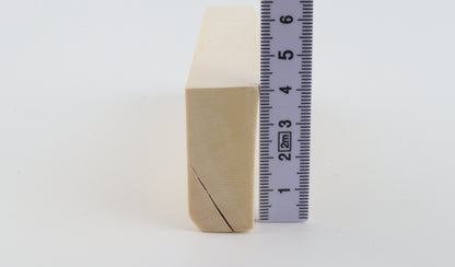 White mammoth ivory segment