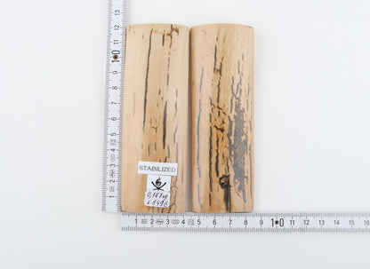 Stabilised mammoth bark scales