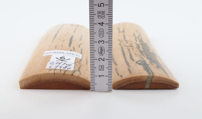 Stabilised mammoth bark scales