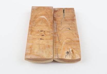 Stabilised mammoth bark scales