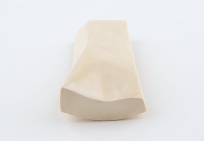 White mammoth ivory segment