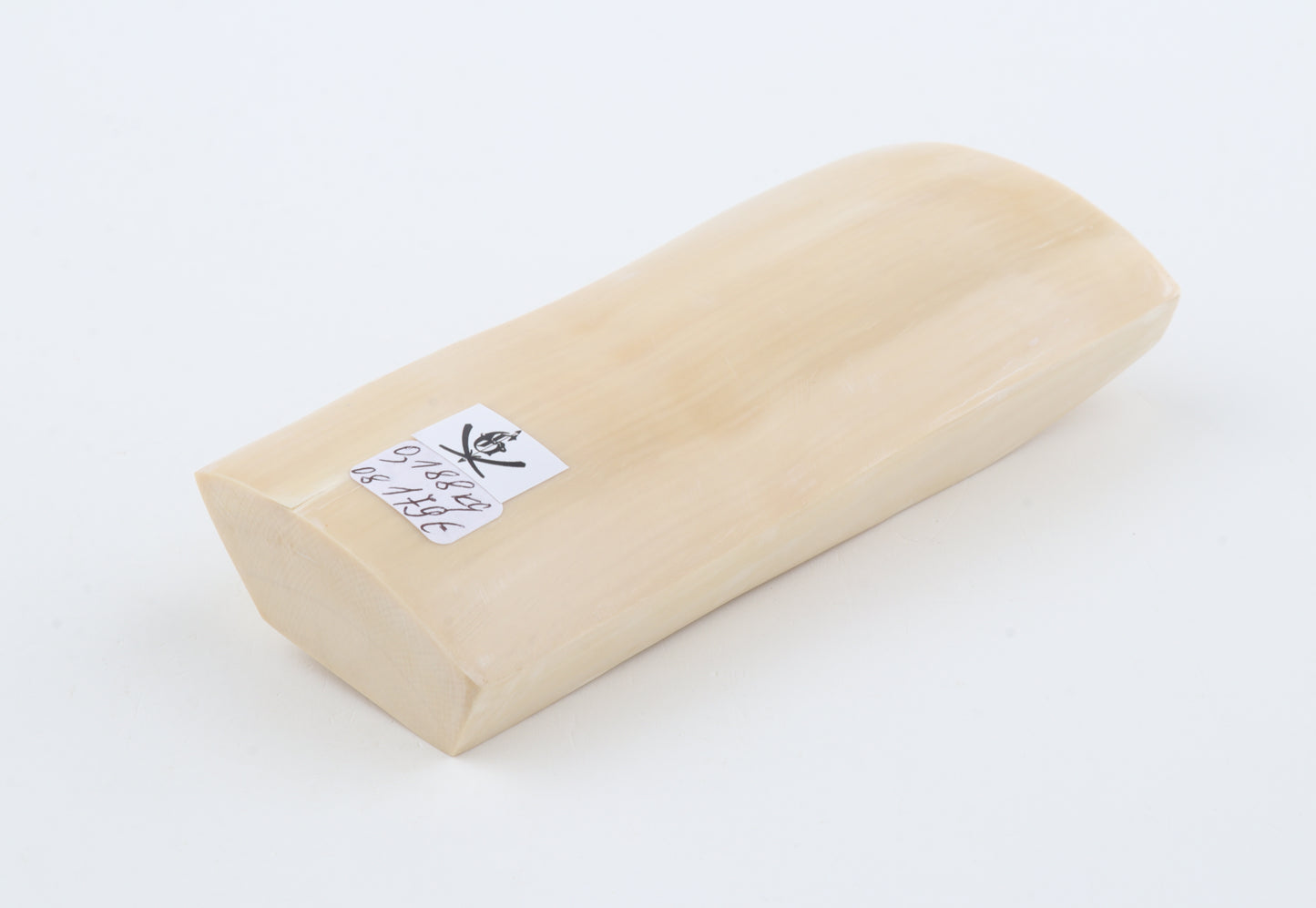 White mammoth ivory segment