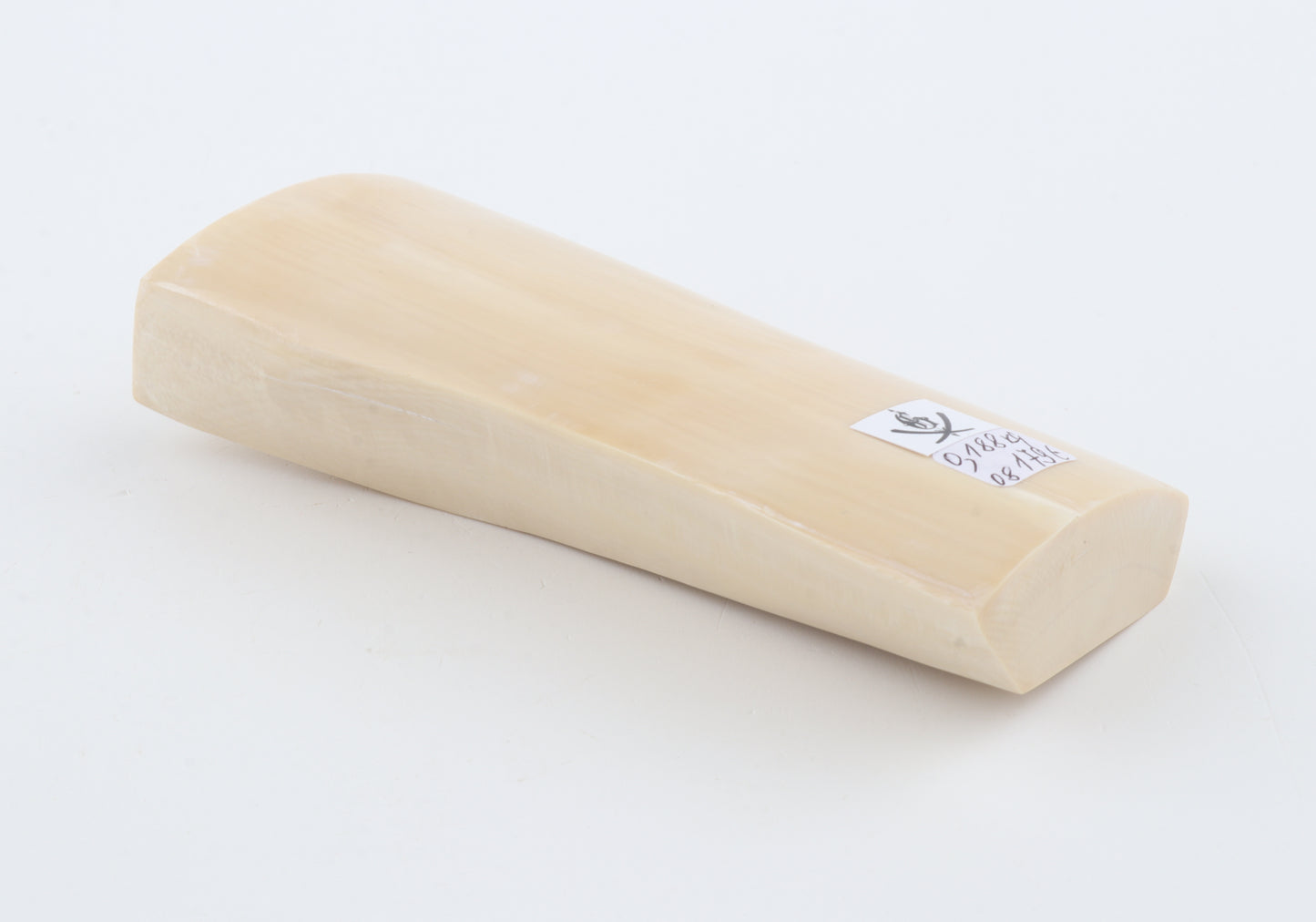 White mammoth ivory segment