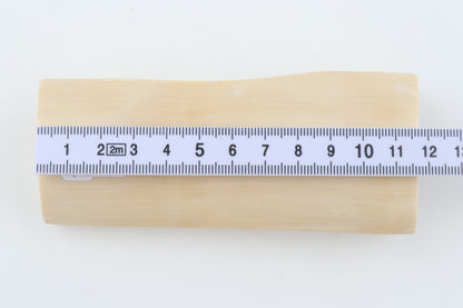 White mammoth ivory segment