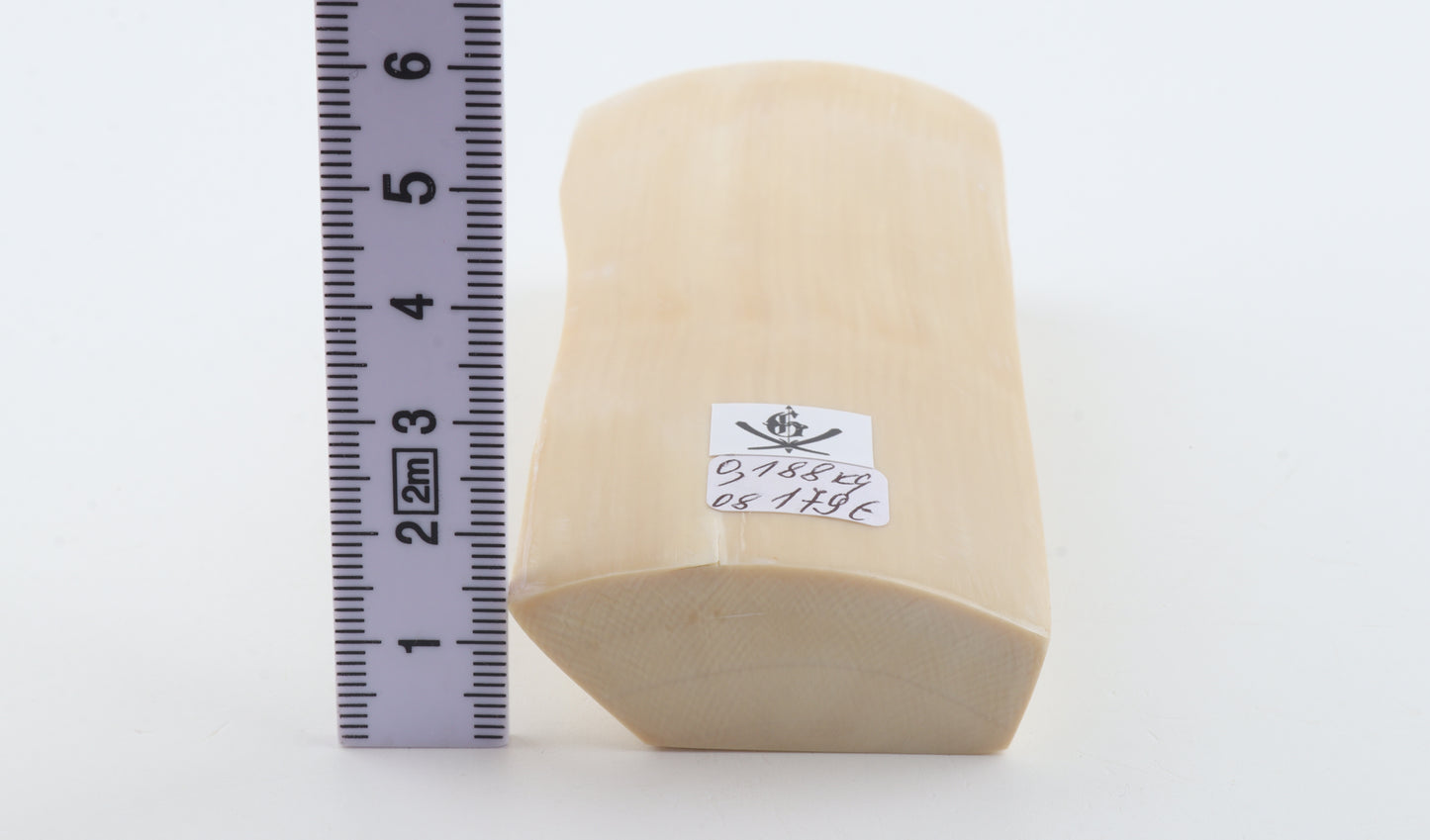 White mammoth ivory segment