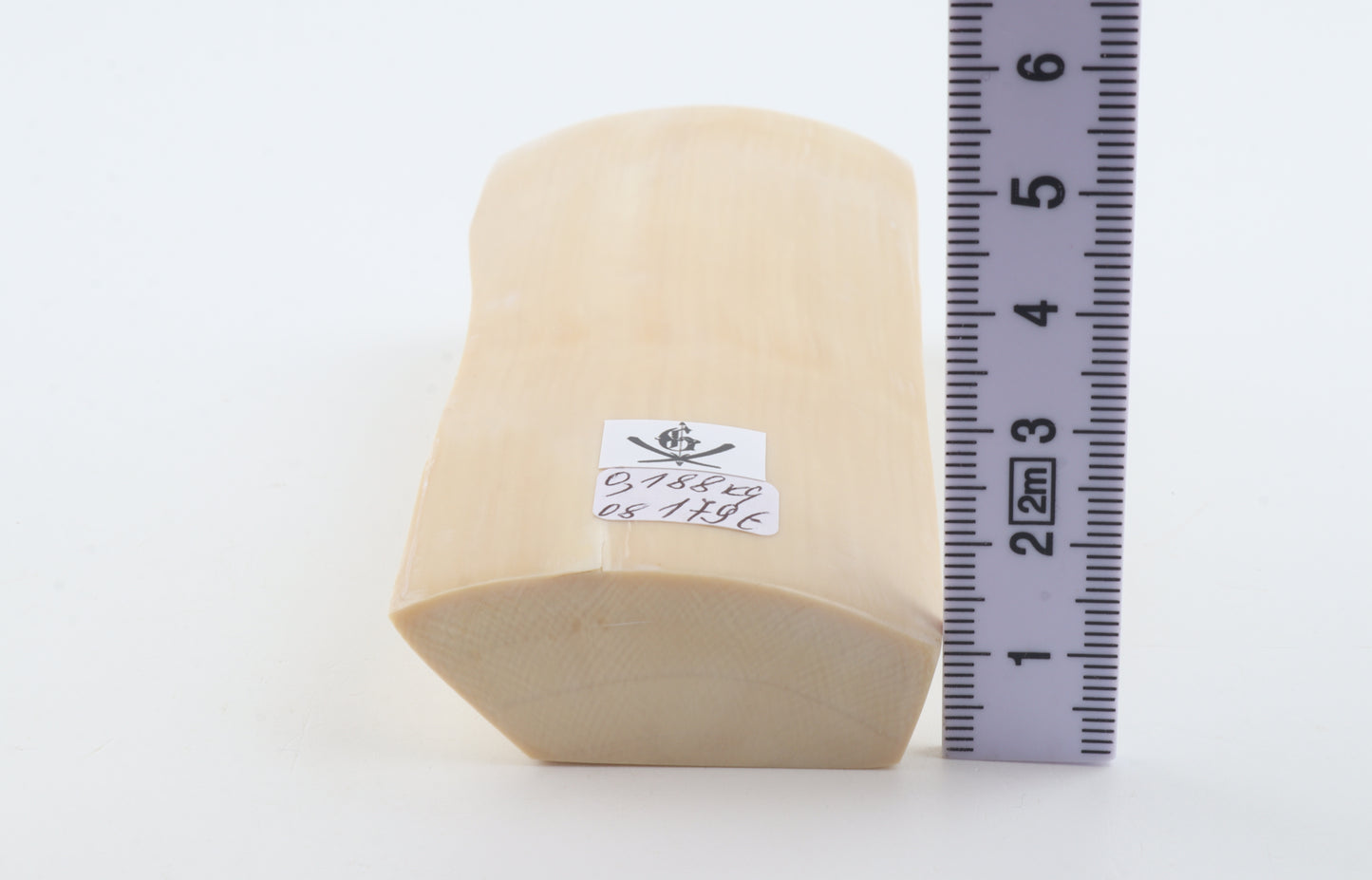 White mammoth ivory segment