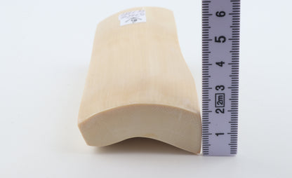 White mammoth ivory segment