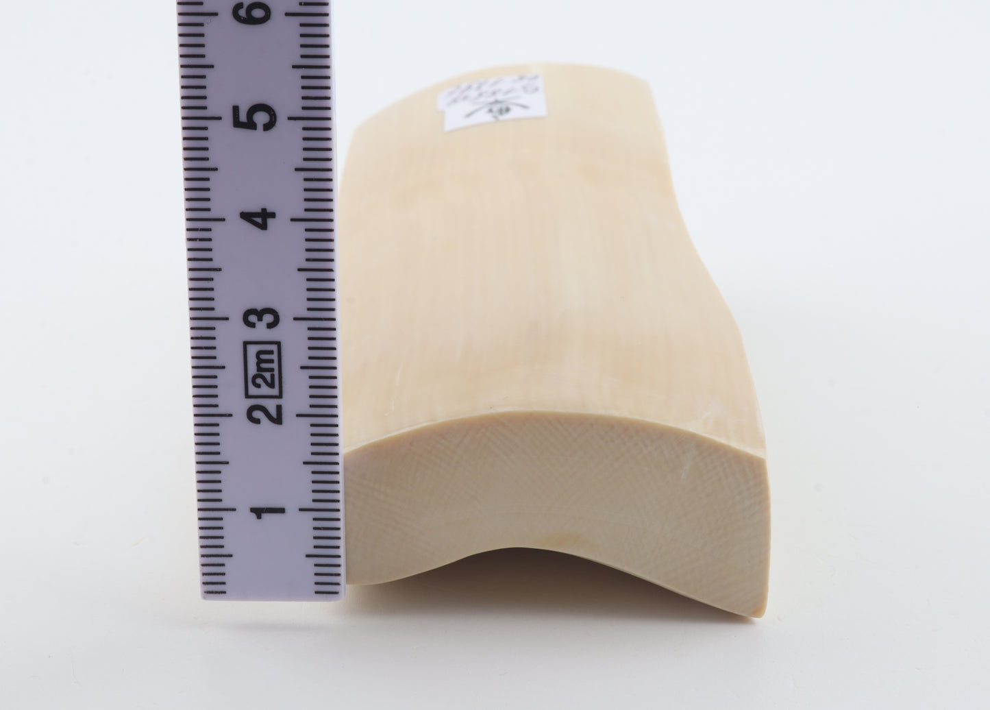 White mammoth ivory segment
