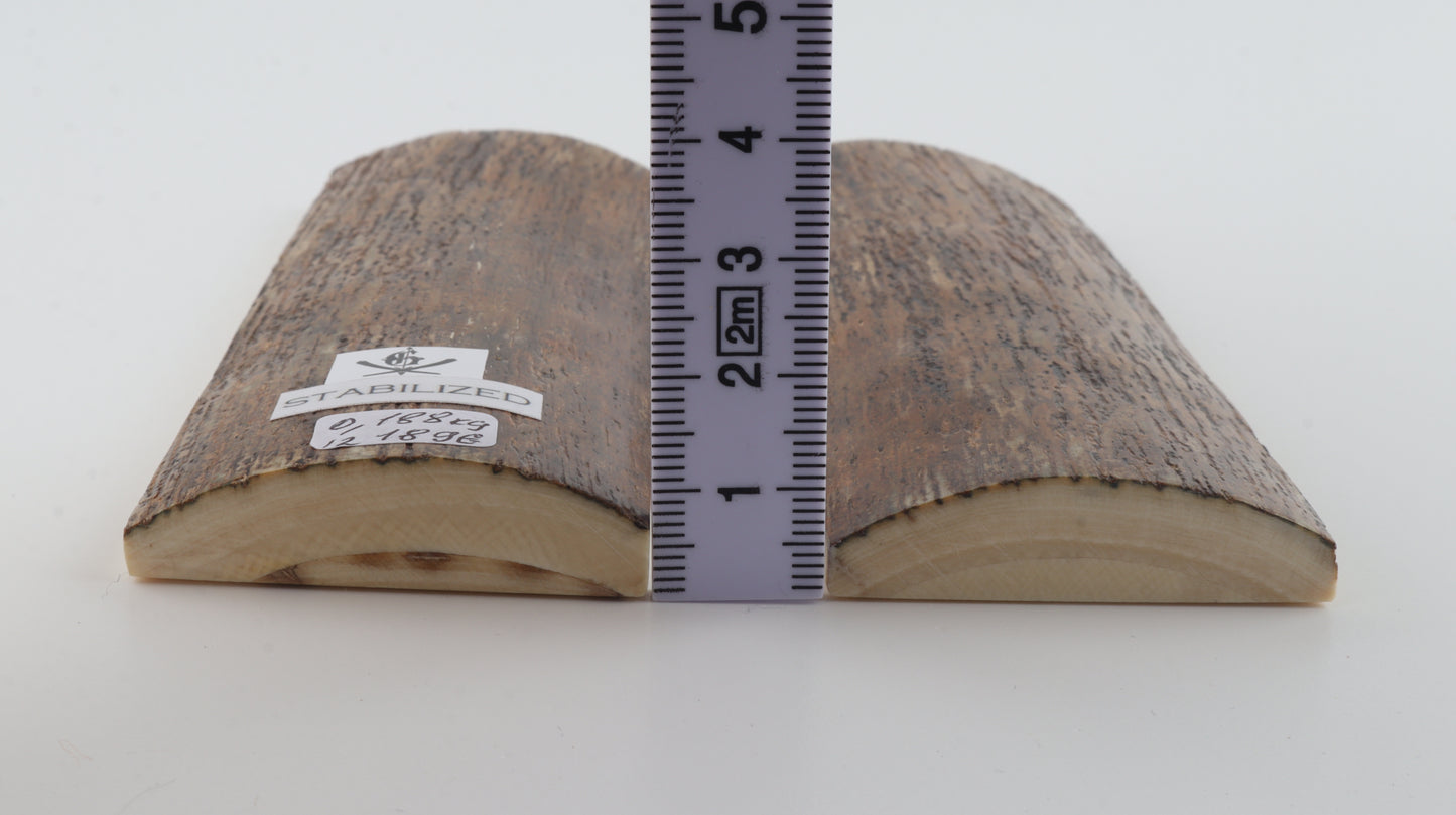 Stabilized mammoth bark scales