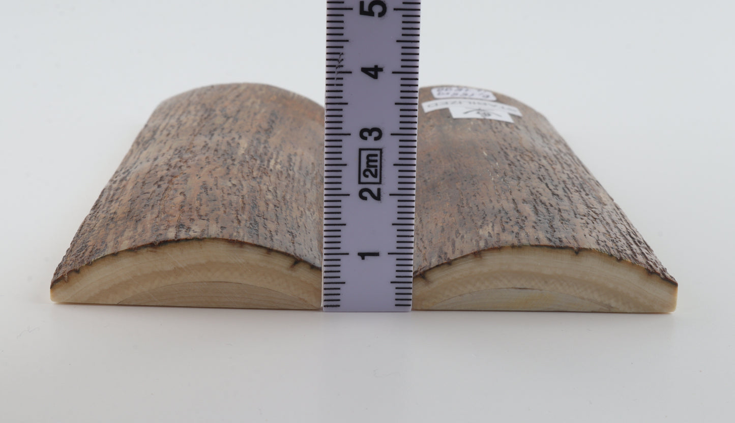 Stabilized mammoth bark scales
