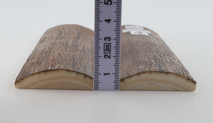 Stabilized mammoth bark scales