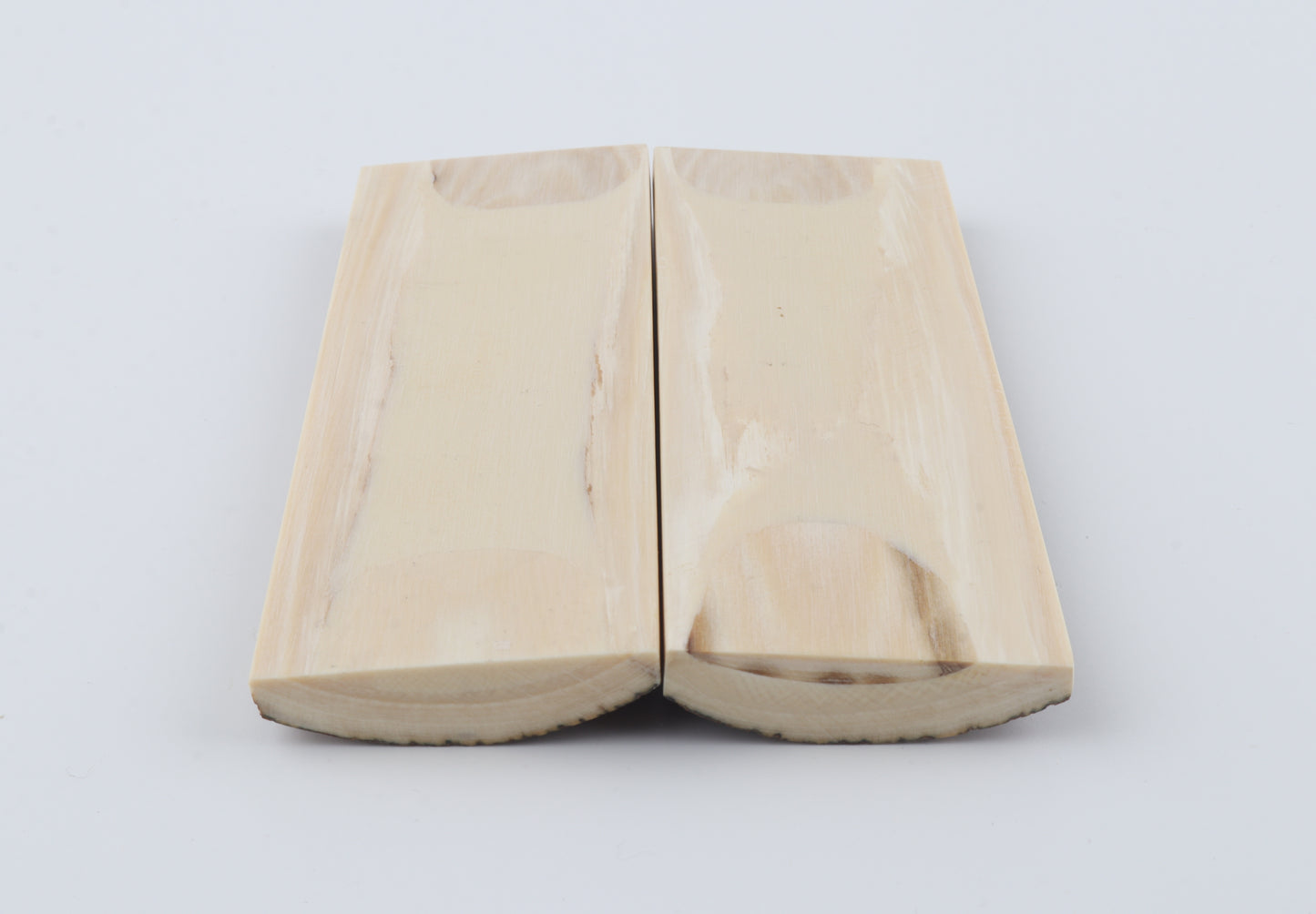 Stabilized mammoth bark scales